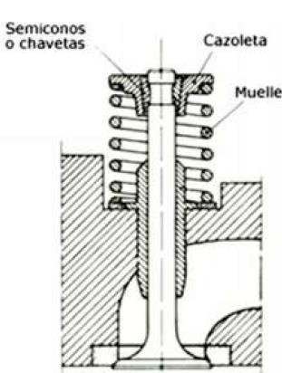 Muelle en la válvula 